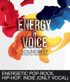 ENERGY VOICE