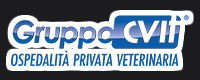 Gruppo CVIT