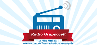 Radio Gruppocvit